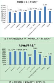 中國互聯網絡信息中心與互聯網信息服務的核心作用